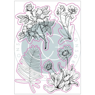 (CCSTMP036)Craft Consortium At Home in the Wildflowers Clear Stamps Flora of the Bunch
