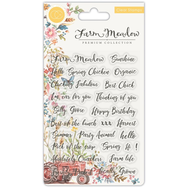 (CCSTMP028)Craft Consortium Sentiments Clear Stamps