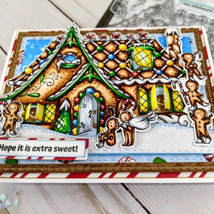(LDRS3276)LDRS Creative Gingerbread House Set 4x6 Inch Clear Stamps
