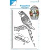 (6410/0536)Clear stamp grass parakeet