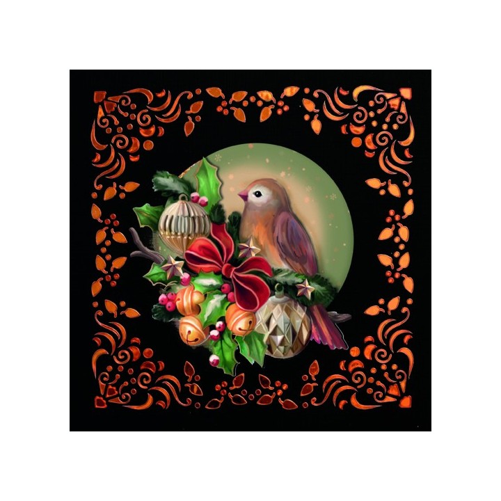(DODOOC10002)Dot and Do on Colour 2 (Christmas Birds)