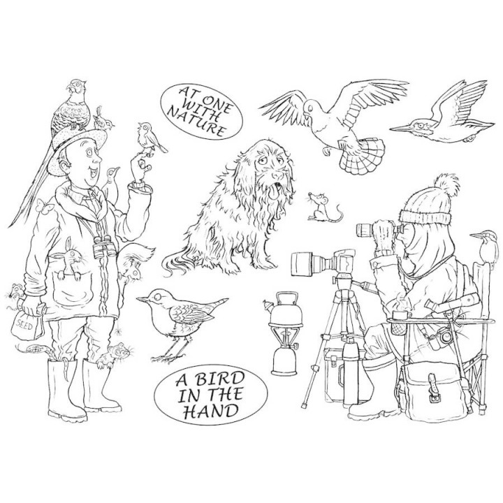 (MBGOBH)The Card Hut Great Outdoors: A Bird In The Hand Clear Stamps