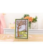 (GEM-STD-NATB)Gemini Natural Beauty Stamp & Die