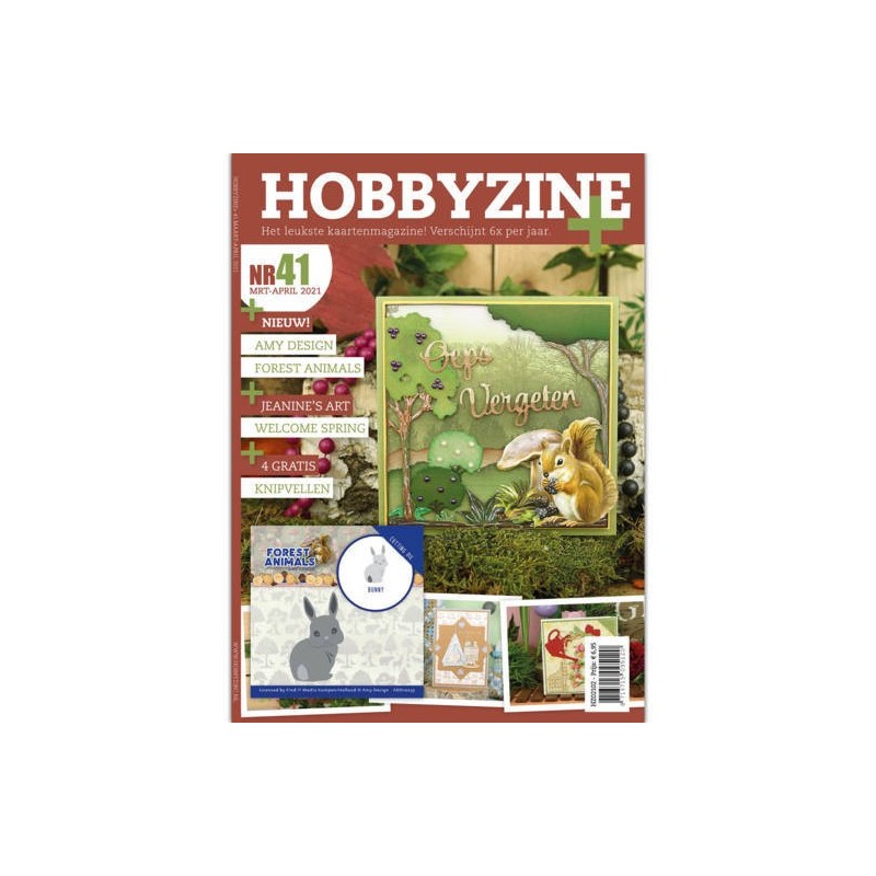 (HZ02102)Hobbyzine Plus 41
