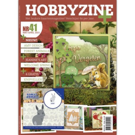 (HZ02102)Hobbyzine Plus 41