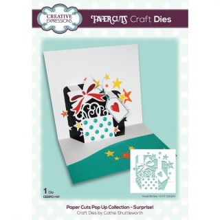 (CEDPC1147)Creative Expressions Craft die paper cuts Surprise!