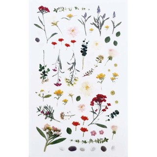 (740019-15)Stafil mini stickers Flowers & pearls pink