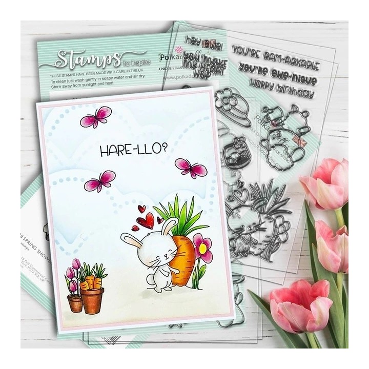 (PD8127)Polkadoodles Hoppy Birthday Clear Stamps