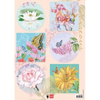 (EWK1284)Gorgious Flowers