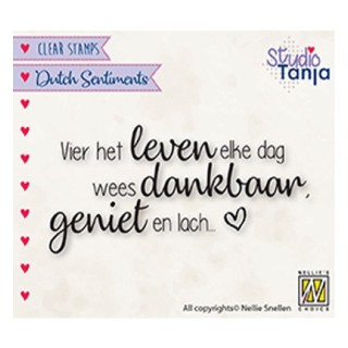 (SENC017)Nellie's Choice Clear stamps Vier het leven elke dag, wees dankbaar