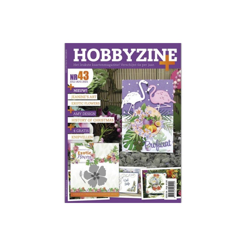 (HZ02104)Hobbyzine Plus 43