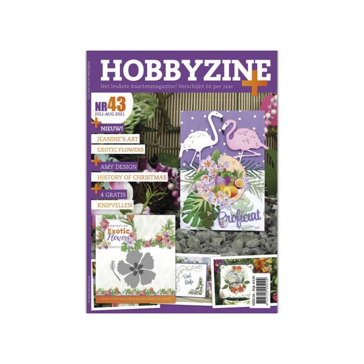 (HZ02104)Hobbyzine Plus 43