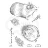 (PI109)Pink Ink Designs Clear stamp set Guinea wig