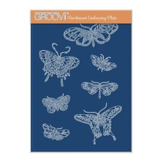 (GRO-AN-41748-04)Groovi Plate A5 CHERRY'S BUTTERFLIES & MOTHS A5 GROOVI PLATE - SET 1