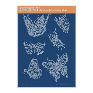 (GRO-AN-41749-04)Groovi Plate A5 CHERRY'S BUTTERFLIES & MOTHS A5 GROOVI PLATE - SET 2