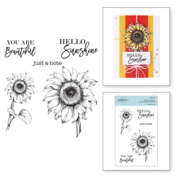 (STP-017)Spellbinders Hello Sunflower Clear Stamp