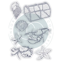 (CCSTMP062)Craft Consortium Sea & Shore Sea Clear Stamps