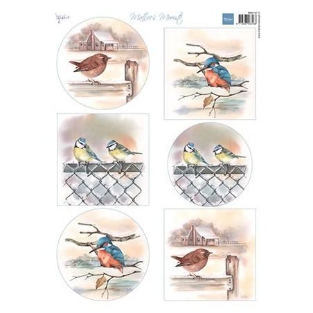 (MB0197)Mattie's mooiste Birds in winter