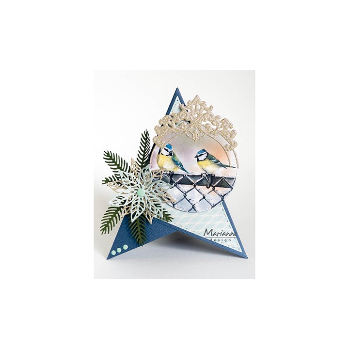 (MB0197)Mattie's mooiste Birds in winter
