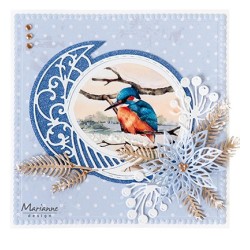 (MB0197)Mattie's mooiste Birds in winter