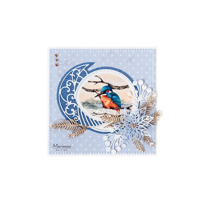 (MB0197)Mattie's mooiste Birds in winter