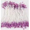 (5707)Stamens Pearlized Violet