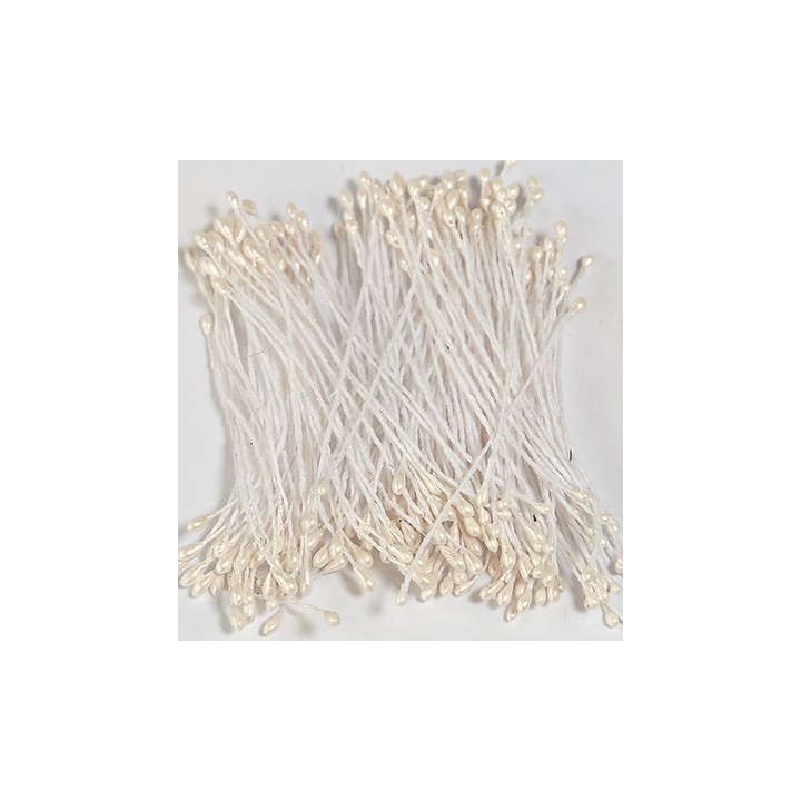 (5701)Etamines pearlized blanc