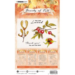 (SL-BF-STAMP64)Studio light SL Clear stamp Rose hips Beauty of Fall nr.64