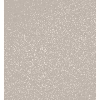(MS-56/999)Zig WINK OF STELLA Brush II Clear