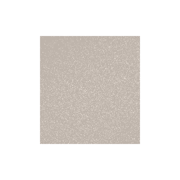 (MS-56/999)Zig WINK OF STELLA Brush II Clear