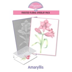 (PER-PA-70416-XX)PERGAMANO - FROSTED FLORAL OVERLAY PACK - AMARYLLIS
