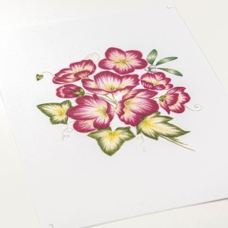 (PER-PA-70417-XX)PERGAMANO - FROSTED FLORAL OVERLAY PACK - CHRISTMAS ROSE