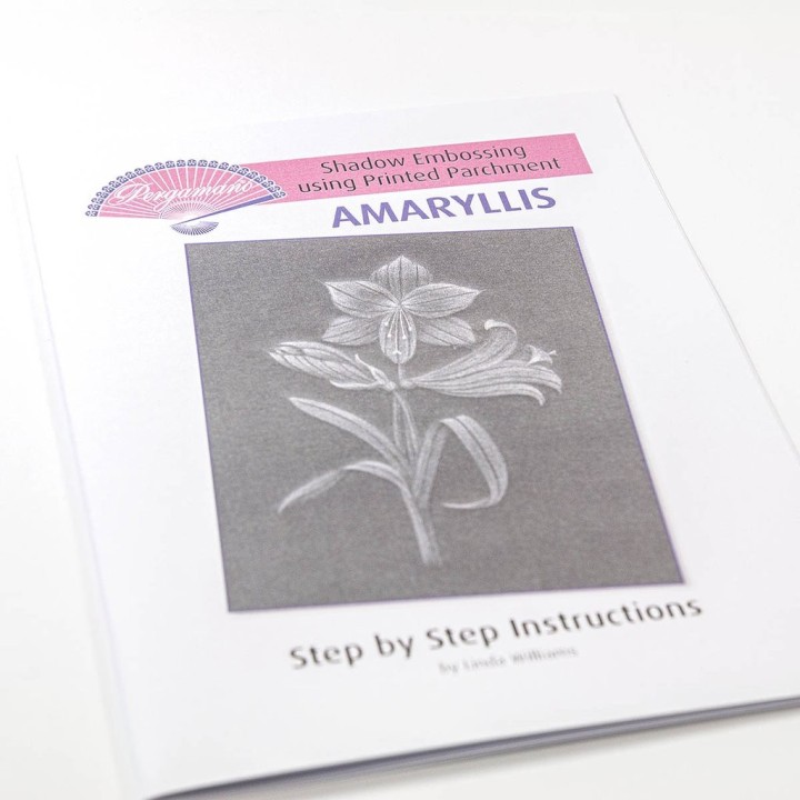 (PER-PA-70416-XX)PERGAMANO - FROSTED FLORAL OVERLAY PACK - AMARYLLIS