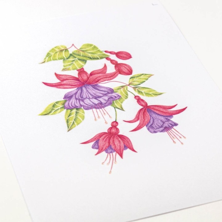 (PER-PA-70418-XX)PERGAMANO - FROSTED FLORAL OVERLAY PACK - FUCHSIA