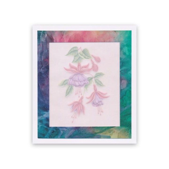 (PER-PA-70418-XX)PERGAMANO - FROSTED FLORAL OVERLAY PACK - FUCHSIA