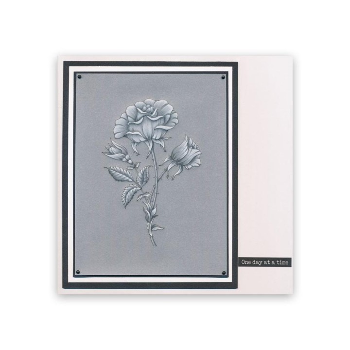 (PER-PA-70419-XX)PERGAMANO - FROSTED FLORAL OVERLAY PACK - ROSE