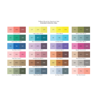 (SN-TBBR-EXTD24)Spectrum Noir Triblend Brush Extended Collection (24pcs)