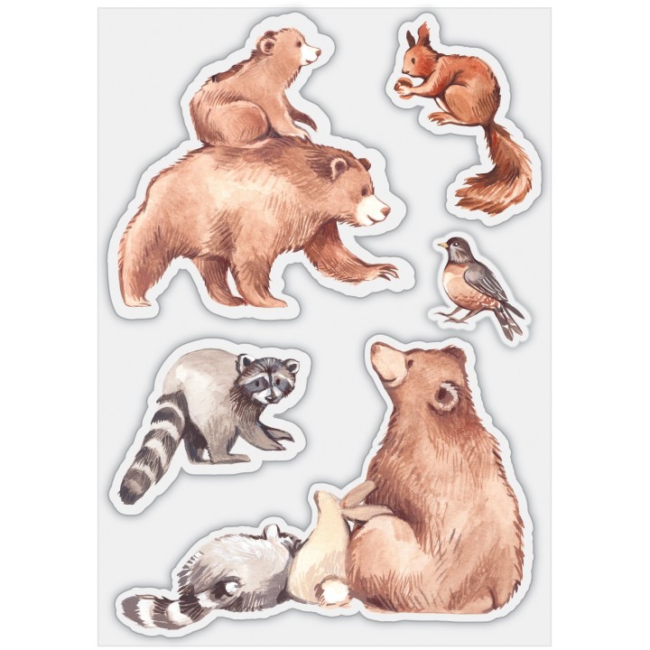 (CCSTMP072)Craft Consortium In The Forest Clear Stamps Bear