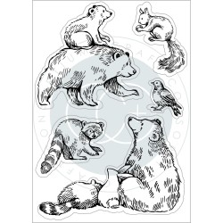 (CCSTMP072)Craft Consortium In The Forest Clear Stamps Bear