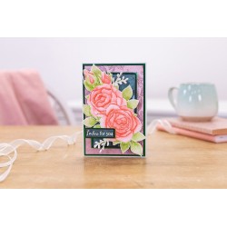 (PT-EF-3D-MARO)Crafter's Companion Positive Thoughts 3D Embossing Folder Majestic Rose