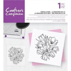 (CC-ST-CA-SPRHE)Crafter's Companion Beautiful Lilies Clear Stamps