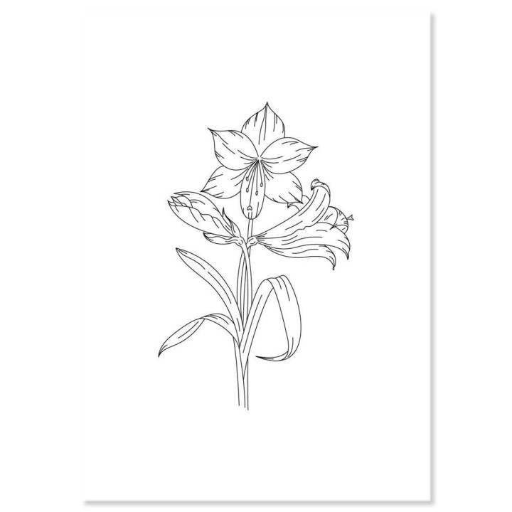 (PER-PA-70424-XX)PERGAMANO - A5 PRINTED FLORALS PARCHMENT - AMARYLLIS