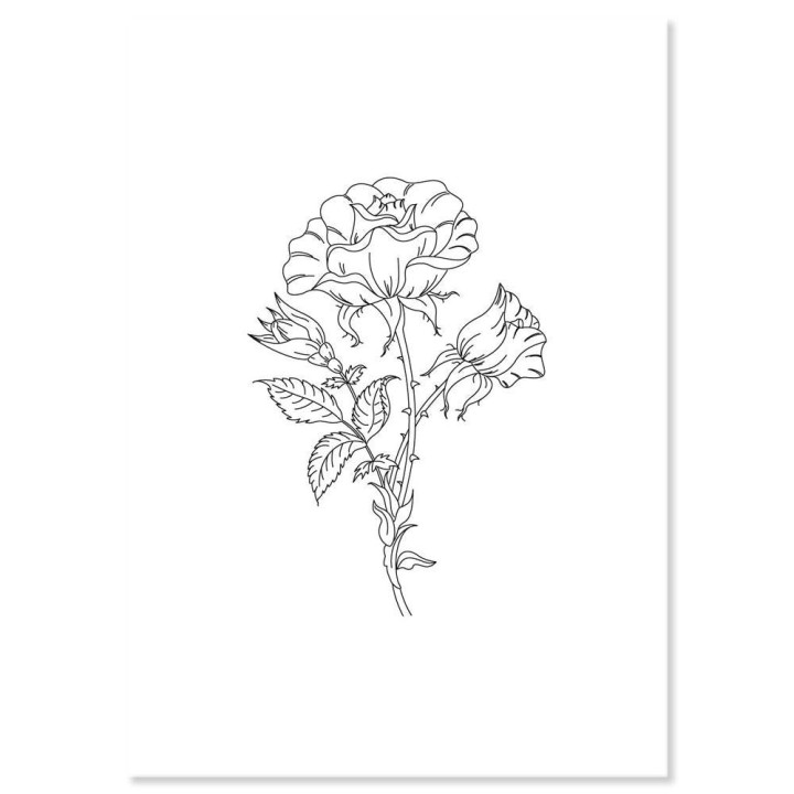 (PER-PA-70427-XX)PERGAMANO - A5 PRINTED FLORALS PARCHMENT - ROSE