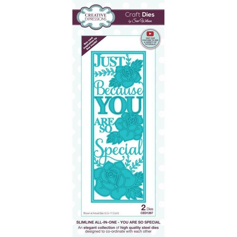 (CED1267)Creative Expressions Sue Wilson Craft Die Slimline All-In-One You Are So Special