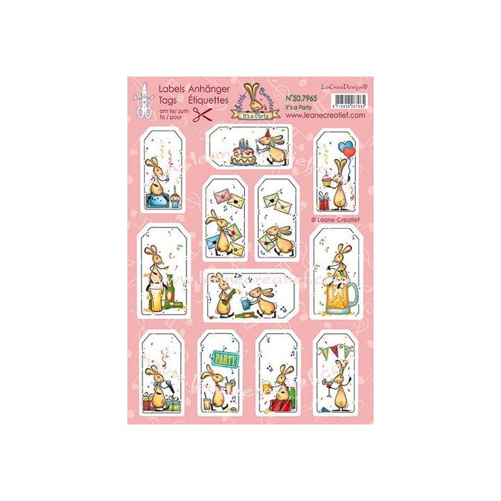 (50.7965)3D Tags Little Bunnies, It’s a party 10sht A4