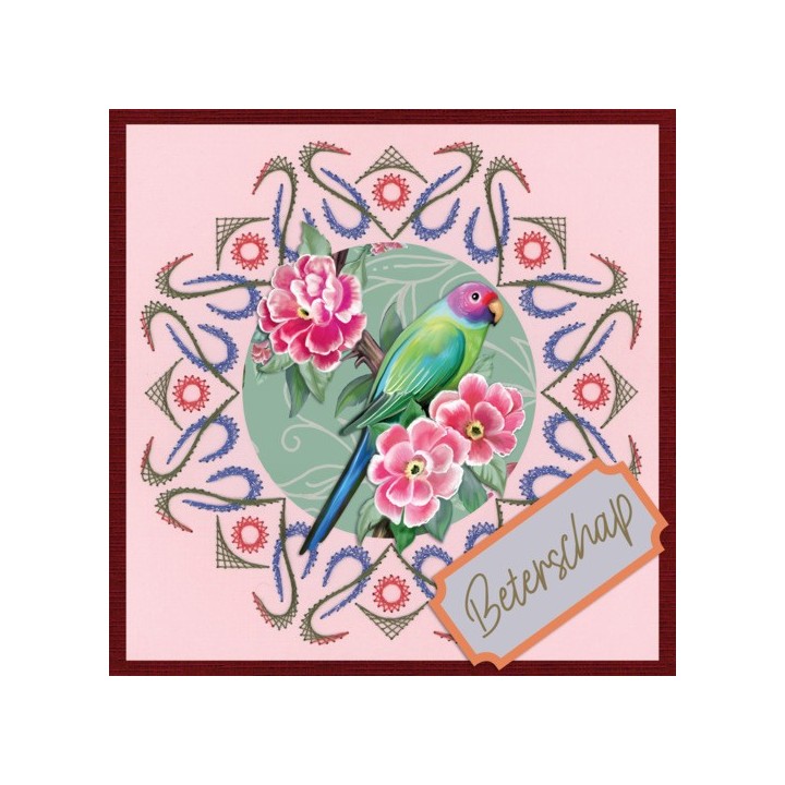 (STDOOC10013)Stitch and Do on Colour 013 - Amy Design - Colourful feathers