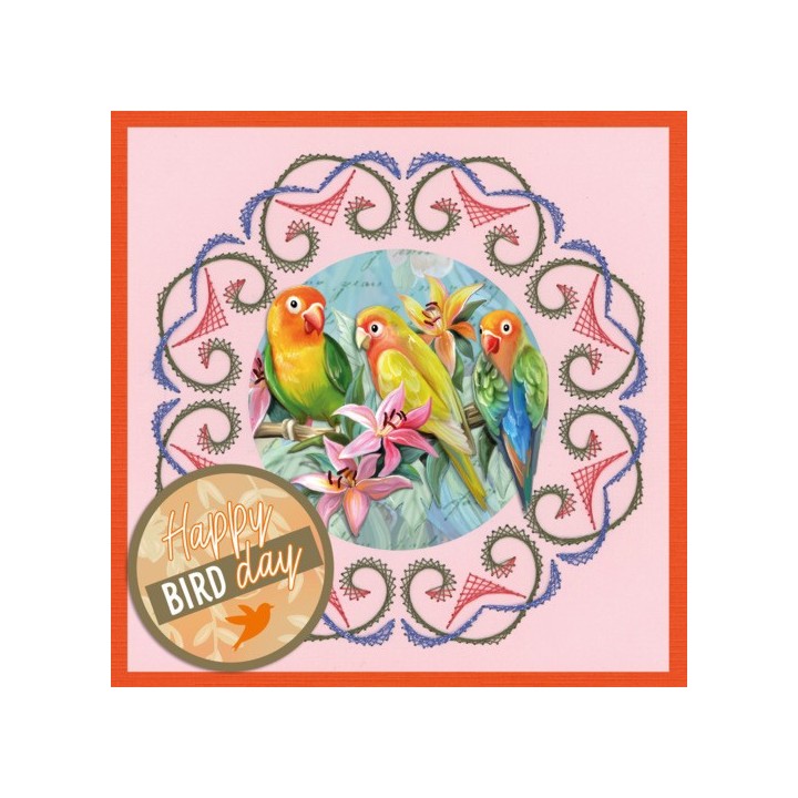 (STDOOC10013)Stitch and Do on Colour 013 - Amy Design - Colourful feathers