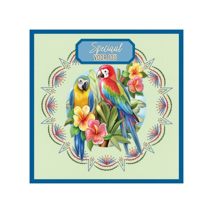 (STDOOC10013)Stitch and Do on Colour 013 - Amy Design - Colourful feathers