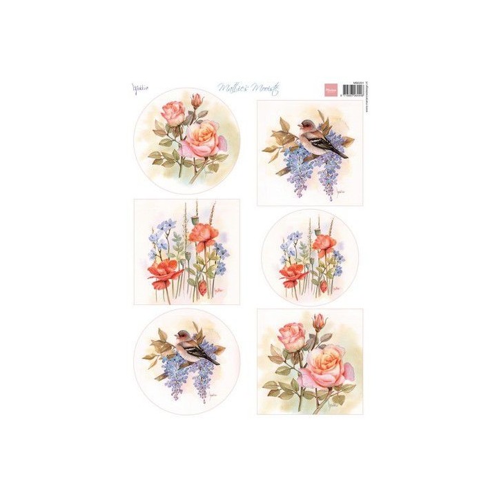 (MB0201)Mattie's Mooiste - Roses