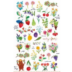 (740019-22)Stafil mini stickers Flowers, fruit